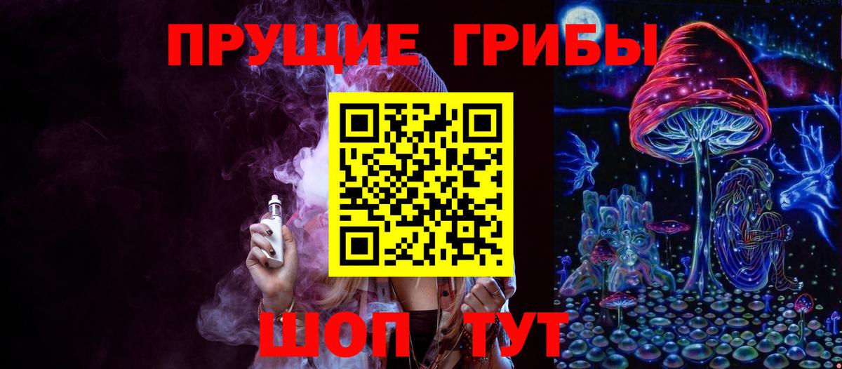 Псилоцибиновые грибы Cubensis Кизилюрт