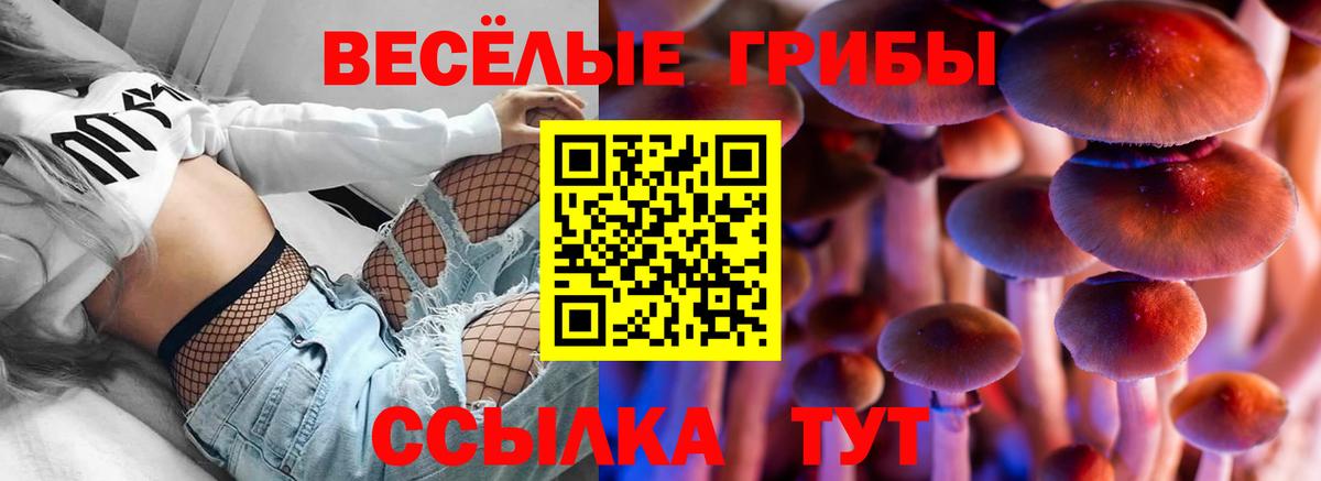Псилоцибиновые грибы прущие грибы  Псилоцибиновые грибы мицелий  Кизилюрт  Вход с VPN 