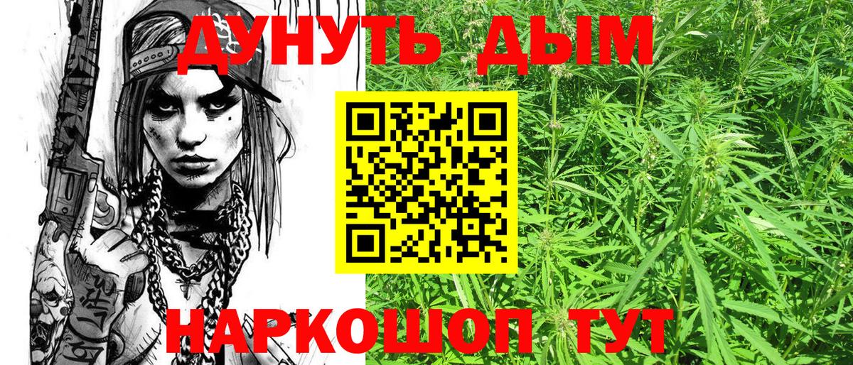 Бошки марихуана White Widow Кизилюрт